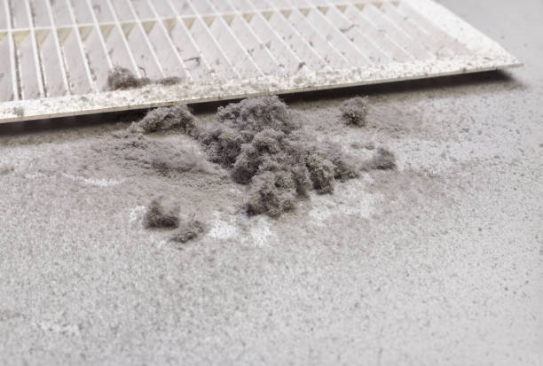 Best HVAC Duct Inspection Services  in Orland, CA