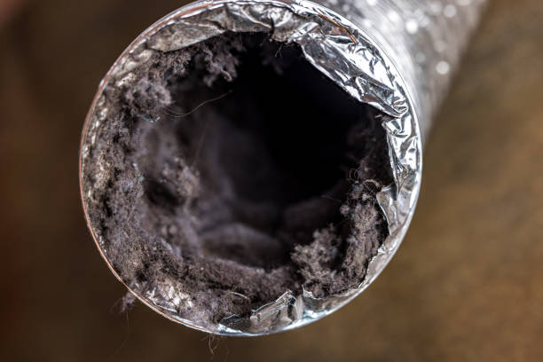 Best Dryer Vent Cleaning Services  in Orland, CA