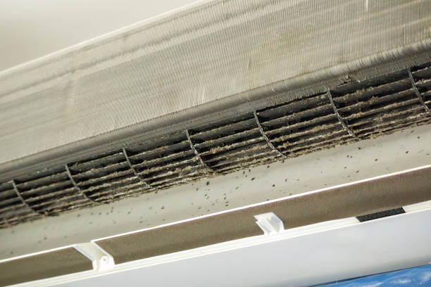 Best Air Duct Cleaning Near Me  in Orland, CA